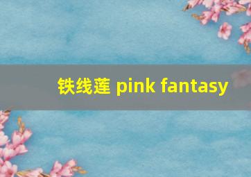 铁线莲 pink fantasy